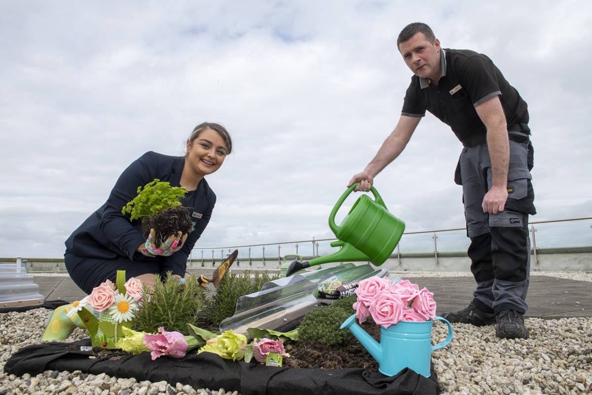 CorkBilly's tweet photo. CORK HOTEL GROWING VEGETABLES AND HERBS  IN NEW ROOFTOP GARDEN https://t.co/9zUAEJjWxn @No1CorkHotel @TrigonHotels https://t.co/QAVjhpsfYN