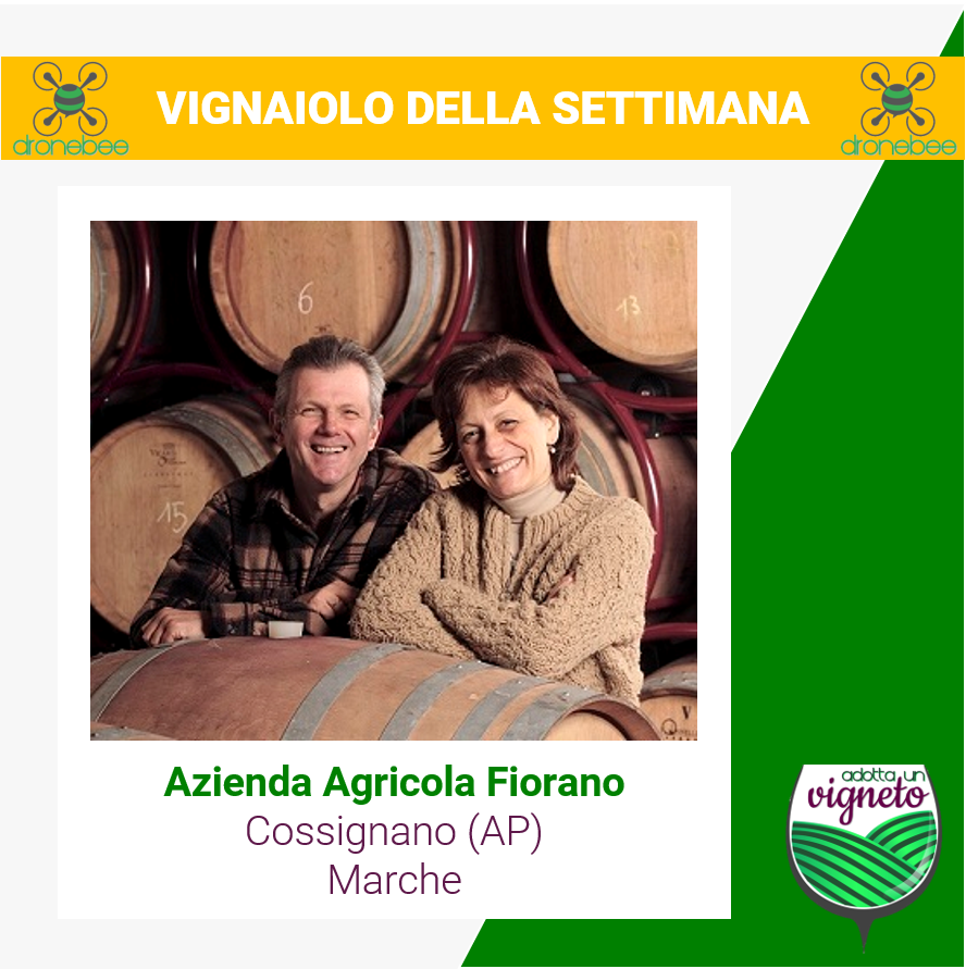 dronebeeag's tweet photo. 🍇🍷 #vignaiolodellasettimana

Scopri Azienda Agricola Fiorano 👉https://t.co/Vj3dBSscZg

🎁#Adotta o #regala un #vigneto
📜#Certificato #adozione
📦#Vini
🖥️#Account
🍾#Cantina #digitale
🍷#Degustazioni

#agricoltura #agritech #sostenibilità #agricoltura40 #viticoltura #agrifood https://t.co/2miWD7tSxF