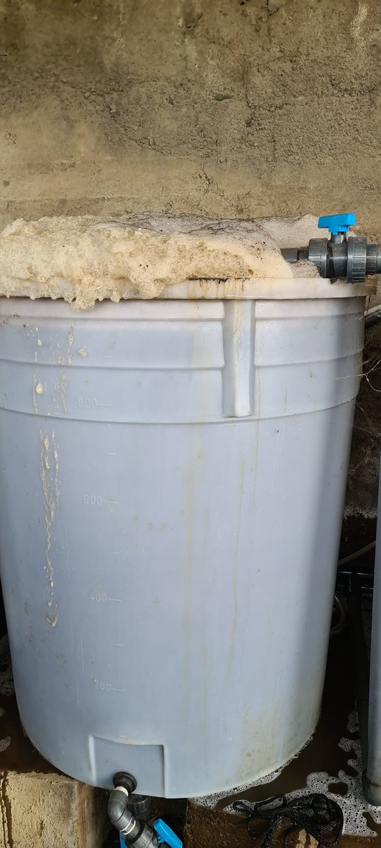 chicharrero69mr's tweet image. Pura vida, en @serviagroc tenemos a tu disposición el mejor #tedecompost. Nutre y cuida la tierra y las plantas estarán en disposición de crecer adecuadamente! #islascanarias #platanodecanarias #compost #elaboradoencanarias