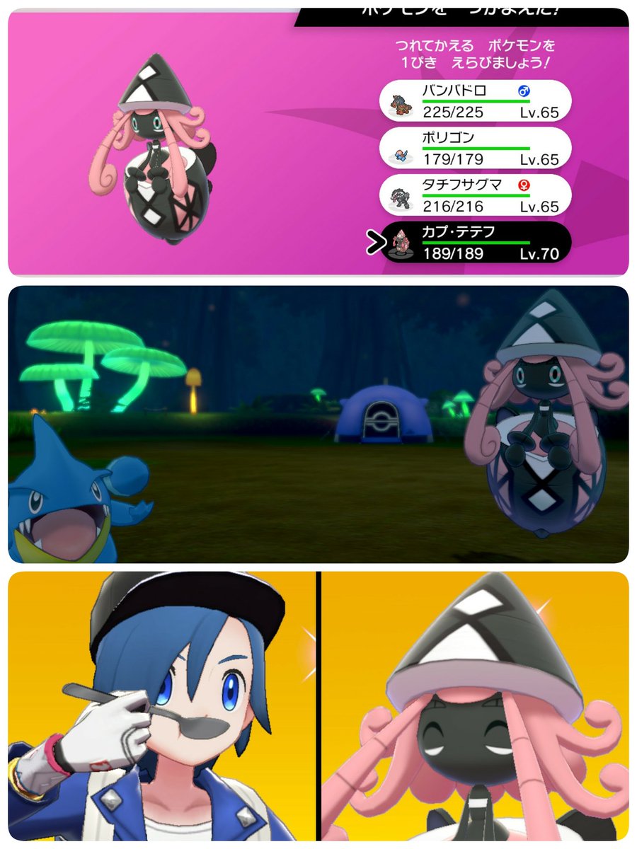 サイマジョ على تويتر 色テテフ可愛い おめでとう