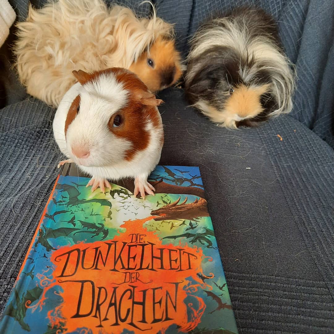 SeelenGold's tweet photo. https://t.co/51ktEUKQGm

Heute gibt's dieses besprochene #kinderbuch auf dem Blog zu entdecken https://t.co/PkNgoDX5zS