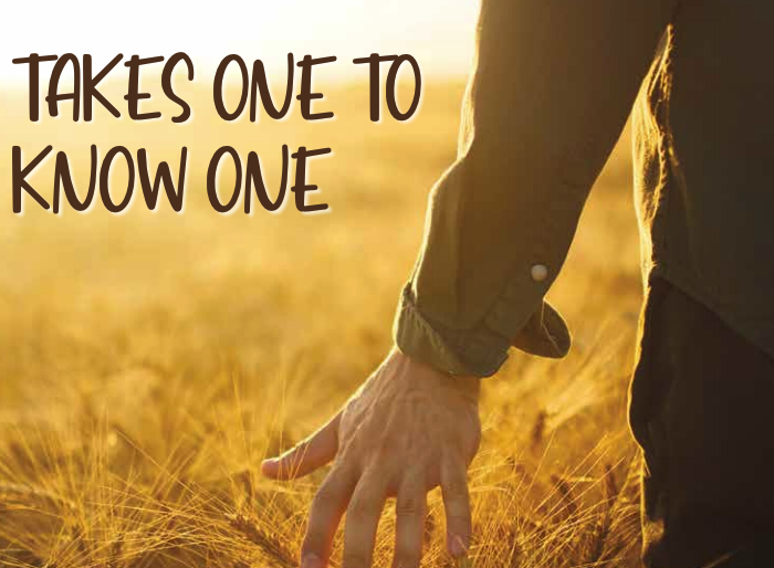 mnwheat's tweet photo. A membership in MAWG means a wheat family who focuses on legislative issues such as crop insurance, the farm bill, wheat research funds, water quality &amp; other environmental issues.

Visit our website to join us.

#wheatwave #wheatfarming #mnwheat #wheat https://t.co/evqP6tjUra
