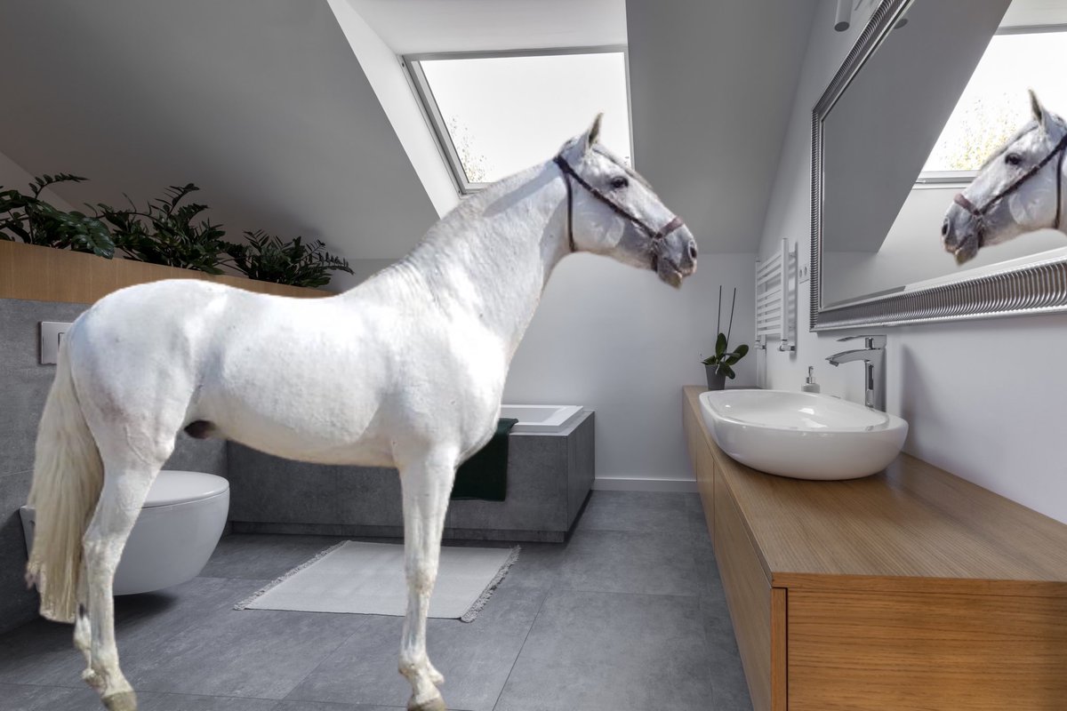 na großartig 🤬 Schimmel im Bad!!