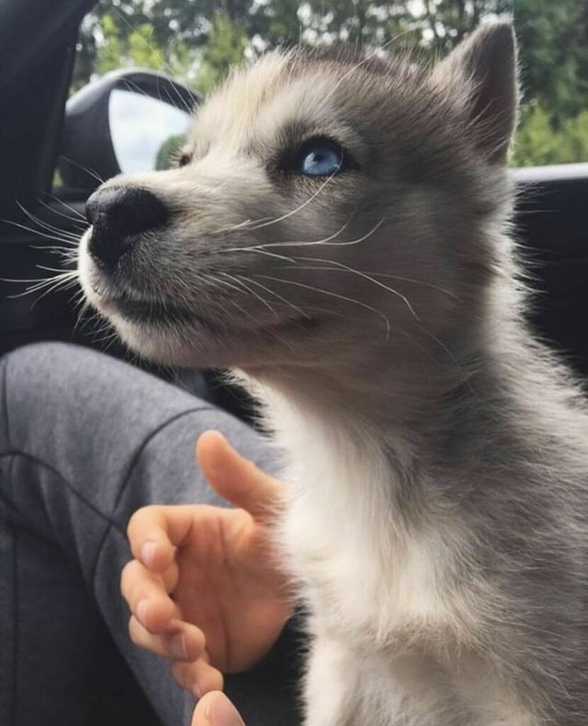 💙💙💙
🐾 @batista__19