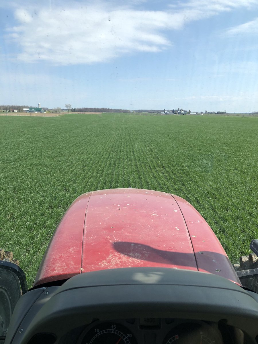 Right or wrong N is going on