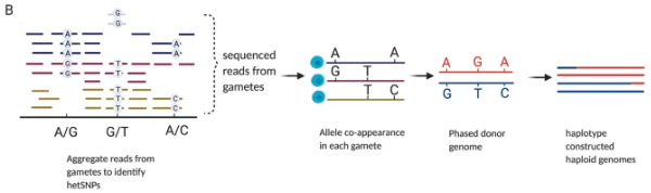 Genome Biology tweet media