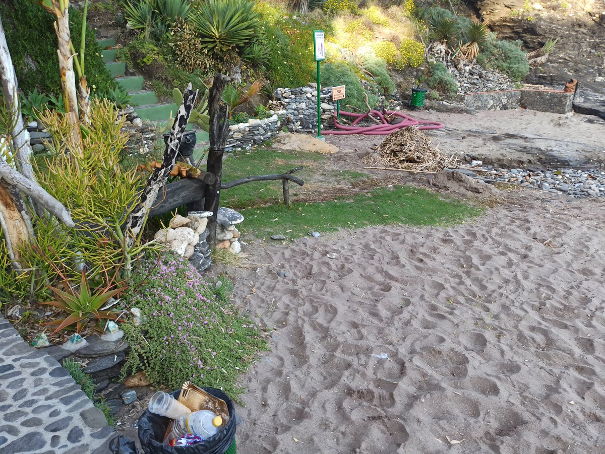 acontre77's tweet photo. Hola @BenalmadenaAyto y @navas_victor. La playa de #Benalnatura necesita que se recoja todas las cañas acumuladas por los días de temporal y alguna mejora para que podamos disfrutar de ella sin tantas piedras. ¿Se va a hacer algo al respecto? Gracias https://t.co/Uf22xr56zx