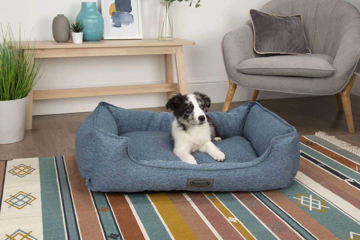 GoodVetPetGuide's tweet photo. #Competition #win a @PetsLoveScruffs Manhattan Box Bed for your #cat or #dog
The bed is designed using a soft-touch fabric with a marl finish effect.
Available in 4 sizes to suit any size of cat or dog.
https://t.co/llh8aW9wxz
#thepetsbiz #petdirectory https://t.co/K8piBnUBcw