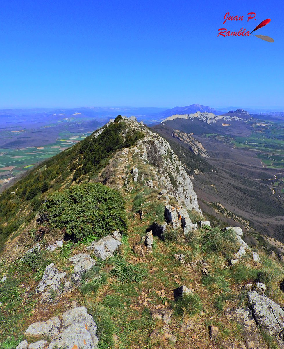 EAzaroa's tweet photo. Otra vista de la vertiginosa cresta final de la Peña del León, en la Sierra Cantabria

#peñadelleon #sierracantabria #montañasdeeuskadi #montañaalavesa #lagran #laguardia #riojaalavesa #cresterio #crestas #cresteando https://t.co/eSfwu7sW3U