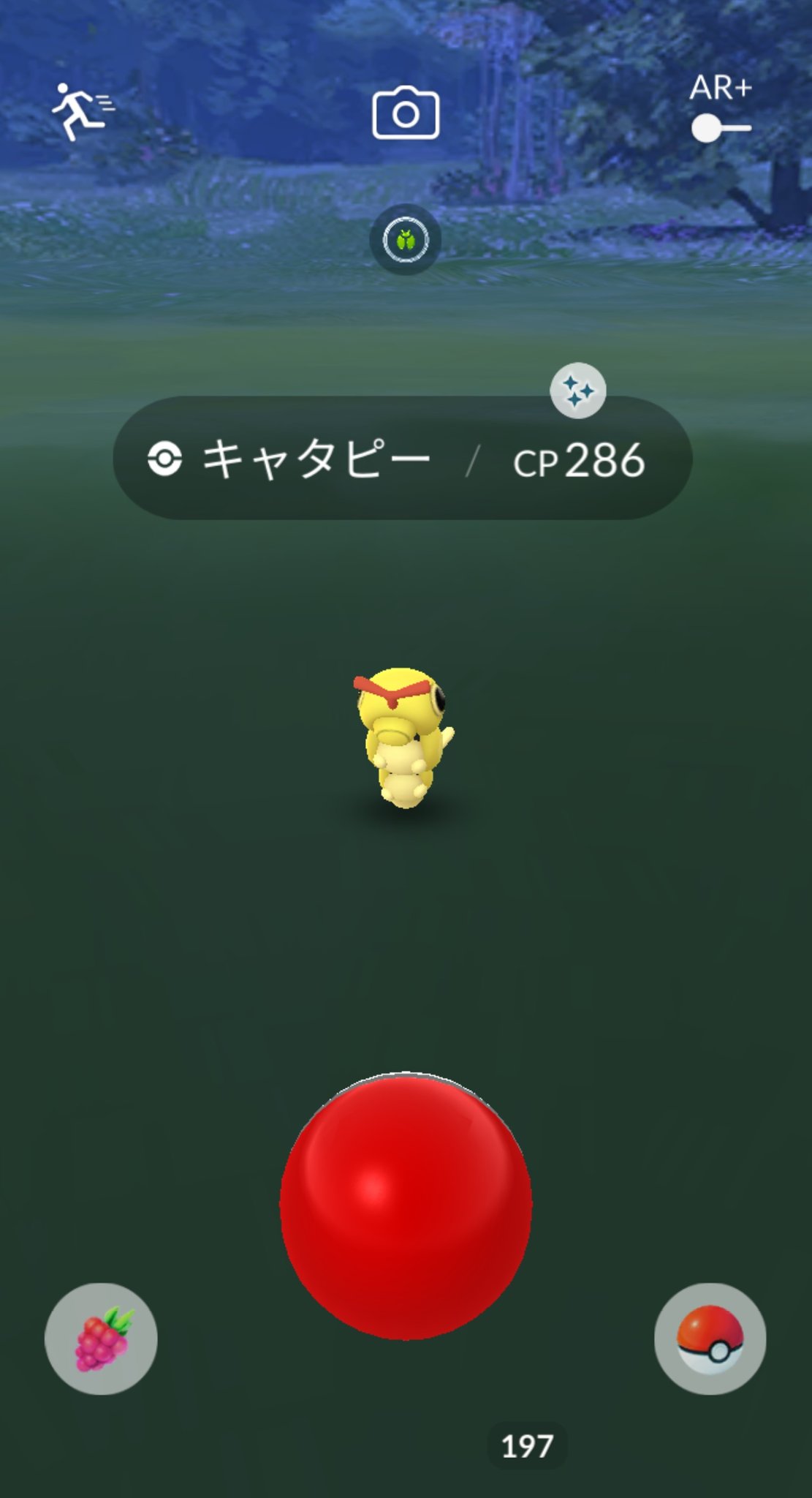 Mewmew さすがに3日目は逃さない 笑 無事boxに来てくれました スクショは相変わらずar恐怖症からキラなし 笑 そして今日は未所持だったアンノーンdを交換していただけました これもコンプまでは程遠い ポケモンgo 色違い キャタピー