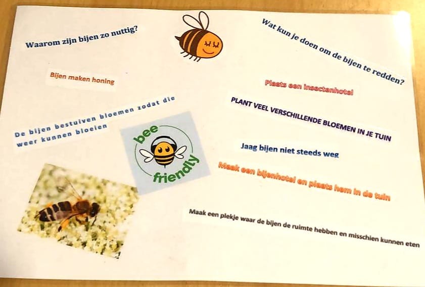 Bovenbouw leerlingen hebben in de plusklas het belang van de bij onderzocht en gekeken hoe ze de bij kunnen helpen. Er zijn prachtige posters gemaakt.  Binnenkort ontwerpen de kinderen een eigen bijenhotel en maken een handleiding voor geïnteresseerden. walsprong.nl/2021/04/pluskl…