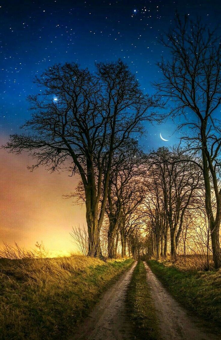 ���� ���� ������ �� ���� ������