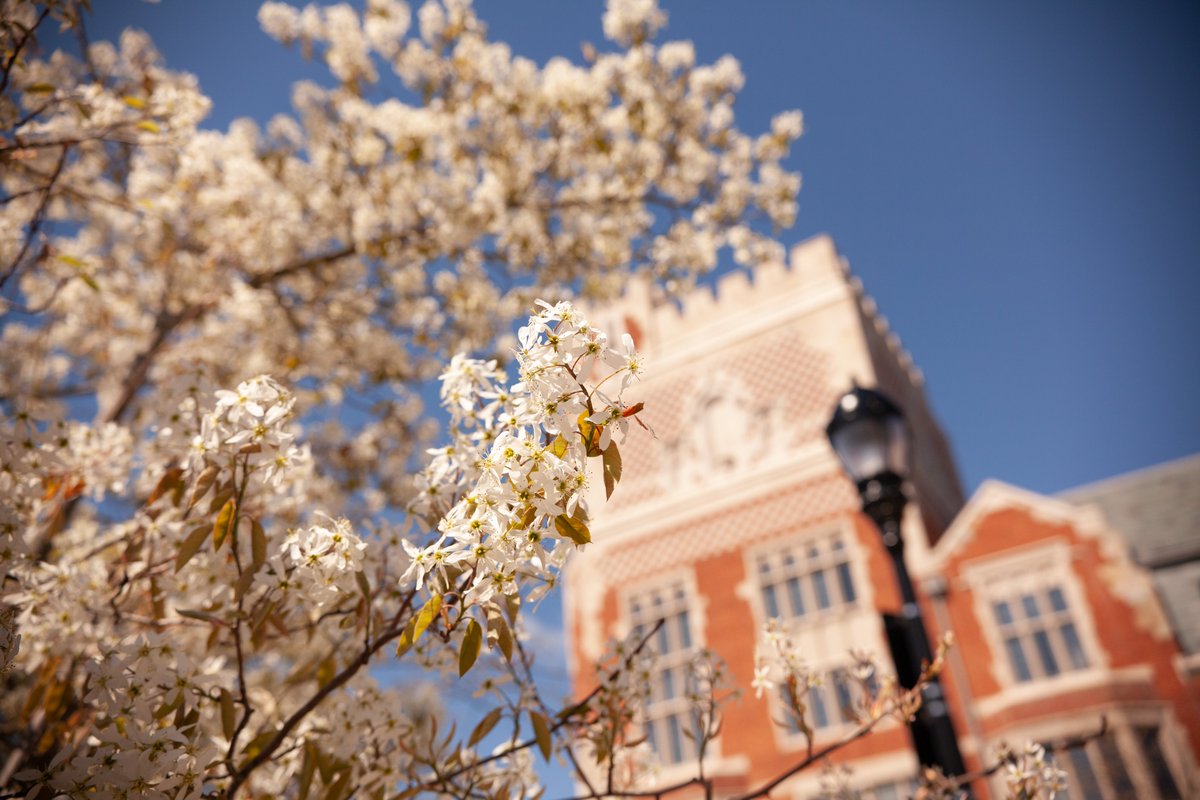 Campus in color 🌸

#ThisIsYale