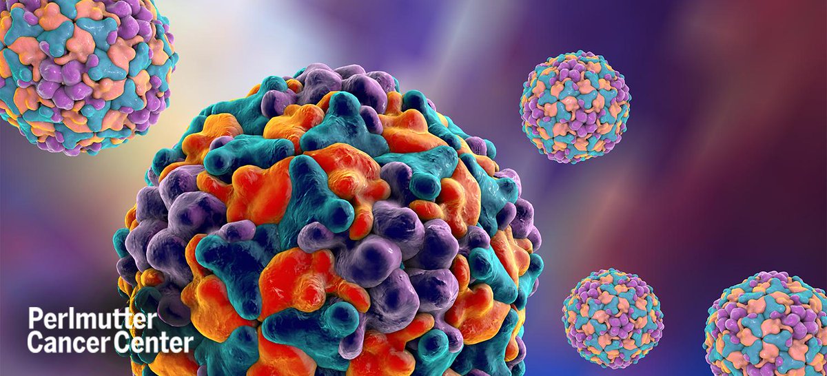 nyulangone's tweet photo. Researchers at #PerlmutterCancerCenter and @nyulangone are studying the safety and effectiveness of using the common cold virus to infect and kill cancer cells. Their goal: to treat advanced #skincancer in patients who have tumors that are inoperable. (1/2) https://t.co/9FkFpDaCWJ