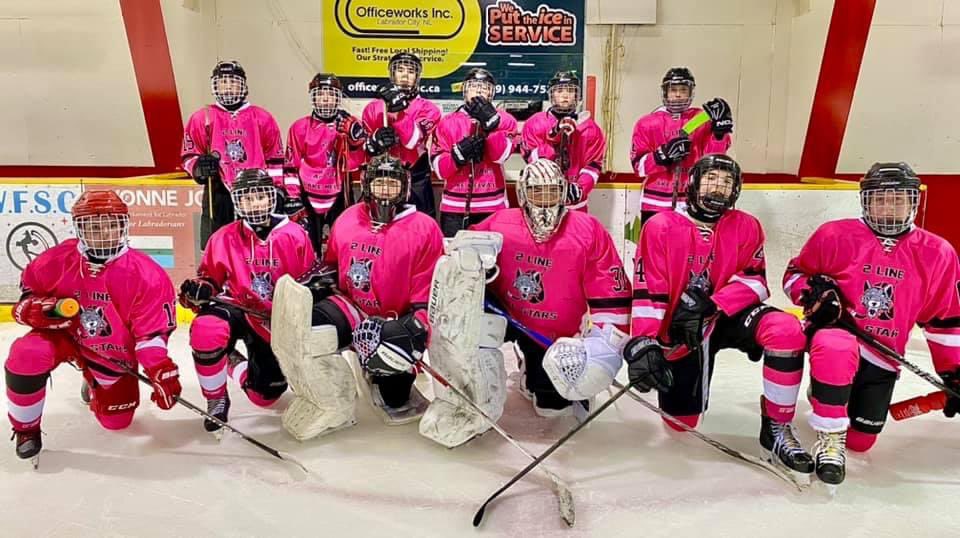 AdeyDallas's tweet image. Pink In The Rink huge weekend $2193 raised for Breast Cancer Lab west Vs Lake Melville U15
