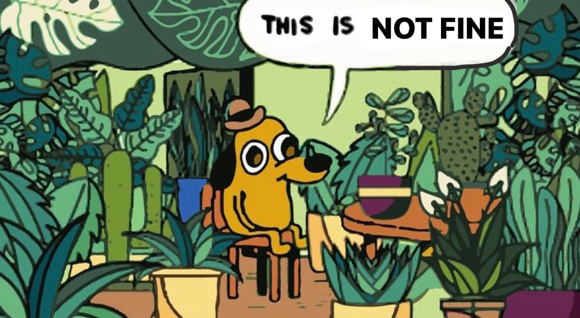 el ganador del sorteo de instagram