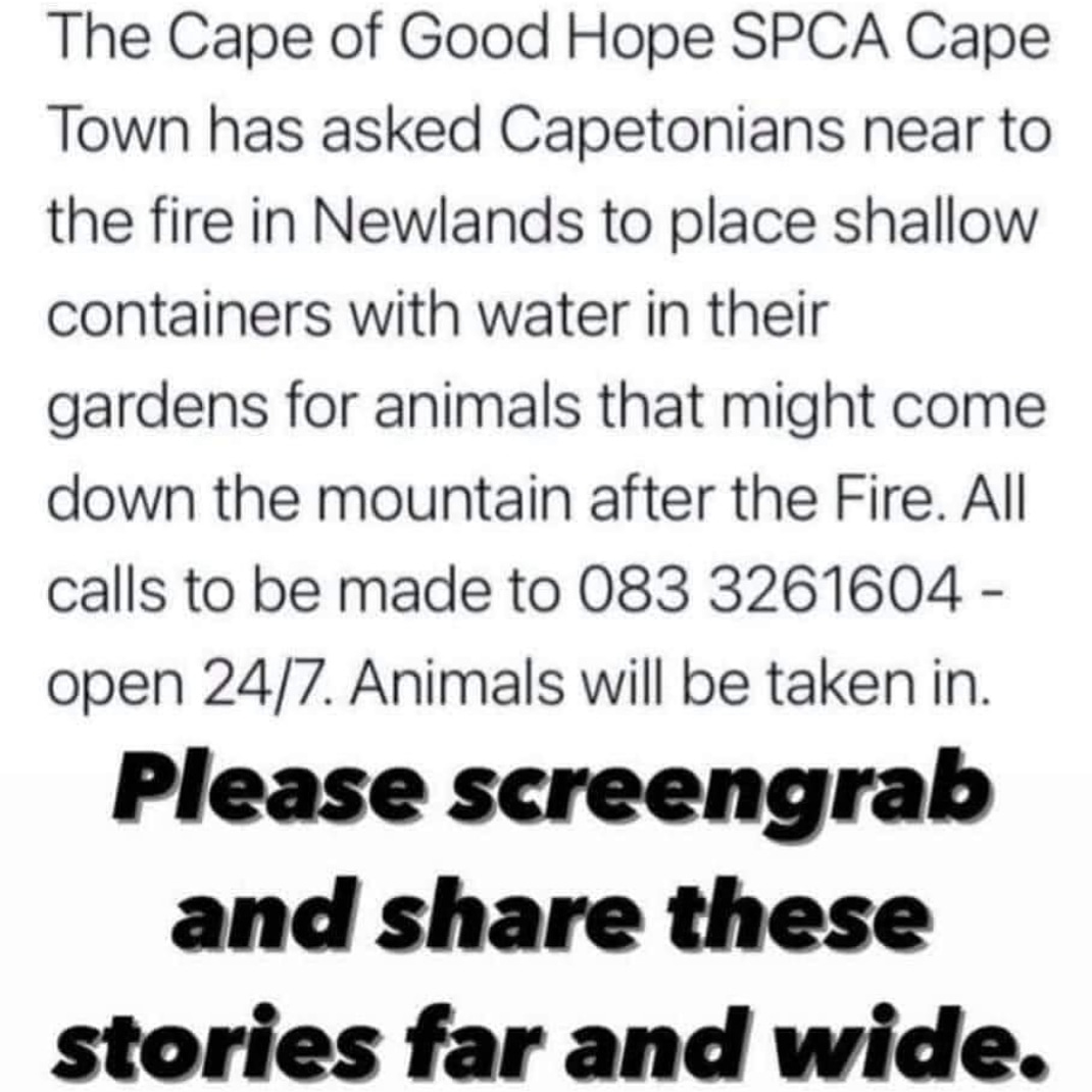 Come on, Cape Town. Let's do our best by animals in distress.