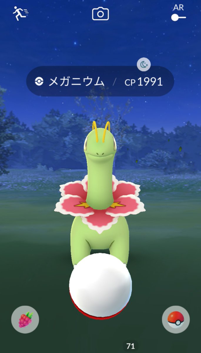 コメパン ポケモンgo 野生のメガニウムいた Goバトルリーグ コメパン ポケモンgo 野生のメガニウムいた Goバトルリーグ