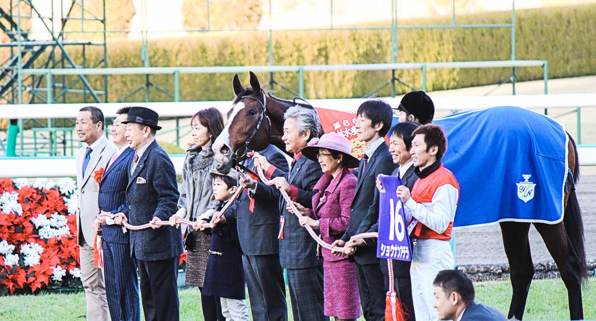 ショウナンアデラ