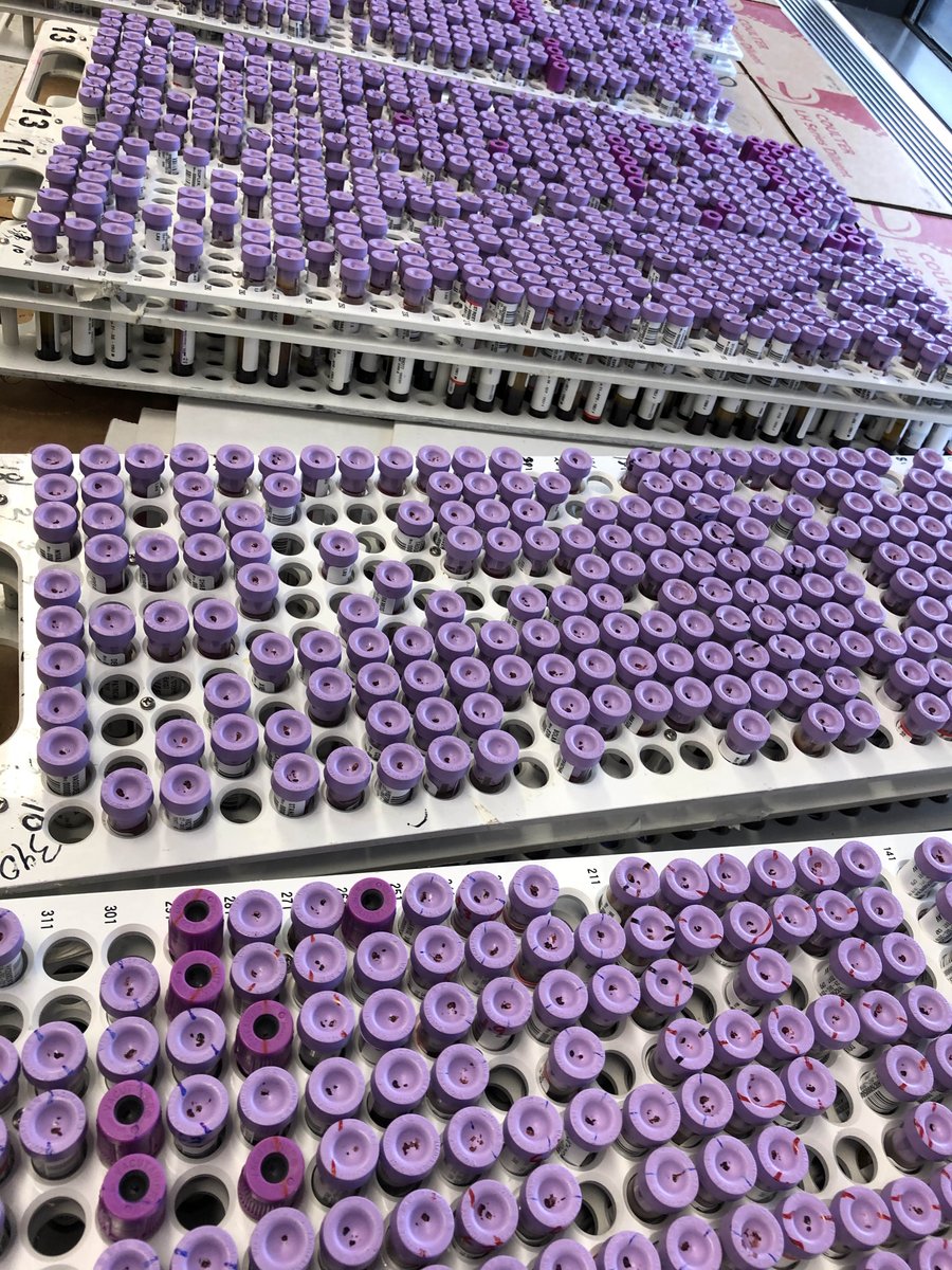 feldstej's tweet image. Happy #LabWeek #LabWeek2021