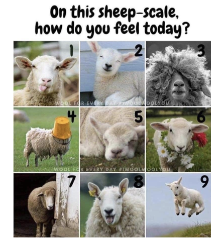 SpecEdJeff's tweet photo. How about a wellness check-in for my fellow educators today? Check out this graphic that was shared in Spec Ed Specialist #ETFOAQ by candidate Mariana. https://t.co/8mRILf2zb8