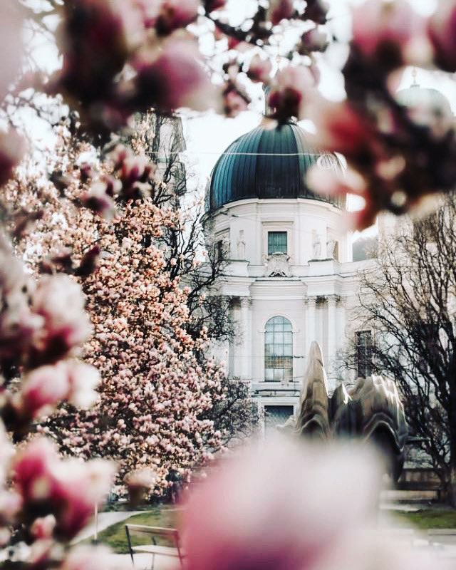 Salzburg, Austria instagram.com/p/CN2T8JABPil/
#austria #austrianblogger #austrian #austrianarchitecture #salzburg #salzburgaustria #austriatoday #travel #travelblog #austrianphotographer #instatravel #austriagram #flowers #trees #nature #austriablogger #austriavision #austrianblog