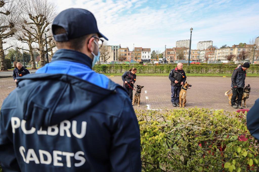 PolbruC's tweet image. Vorige week vonden 2 stagedagen plaats voor onze @PolbruC en dit met respect voor de sanitaire maatregelen #covidproof.Bovenop de ☀️ konden we ook rekenen op gemotiveerde kadetten en het professionalisme van 👮🏻&amp;amp;🦮. Alle buitenactiviteiten waren een succes. #ontdekking #gettoknow