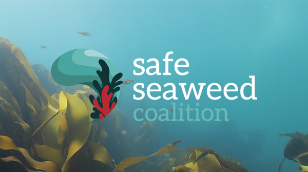 SafeSeaweedCoalition - Twitter Search / Twitter