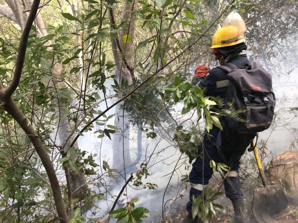 wo_fire's tweet image. WOF resources deployed on Devil’s Peak. 

@GoodHopeFM @GoodHopeFM @SABCNews @News24 @CityofCT @IOL @environmentza @PresidencyZA