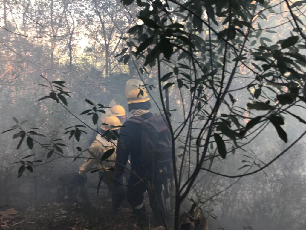 wo_fire's tweet image. WOF resources deployed on Devil’s Peak. 

@GoodHopeFM @GoodHopeFM @SABCNews @News24 @CityofCT @IOL @environmentza @PresidencyZA