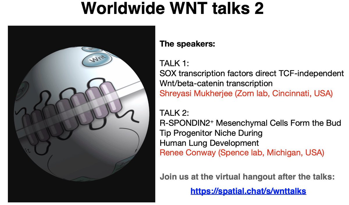 Your Wnt fix <a href="/talkswnt/">WntTalks : https://wnttalks.wordpress.com/</a> is coming soon to a time zone near you! 
Session 1: Thur Apr 22. 4 pm UTC/ 9 am PDT/ Noon EDT/6 pm CEDT
Session 2: Friday Apr 23. 12 am UTC/ 8 am Singapore&amp;Beijing/ 9 am Tokyo/ 10 am Melbourne/  Thursday 5 pm PDT/ 8 pm EDT
links at wnttalks.wordpress.com