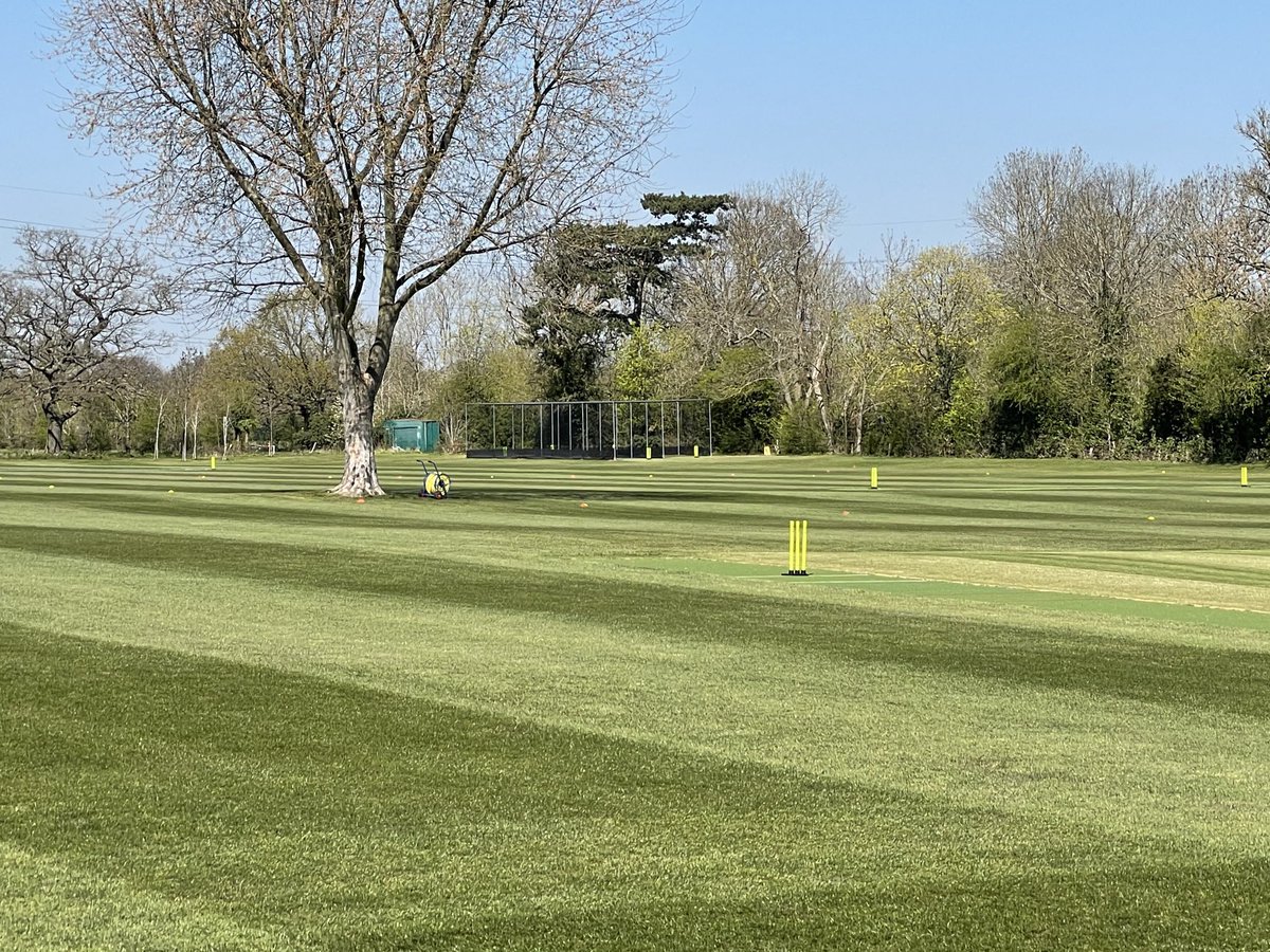 What a day to start cricket term!!!