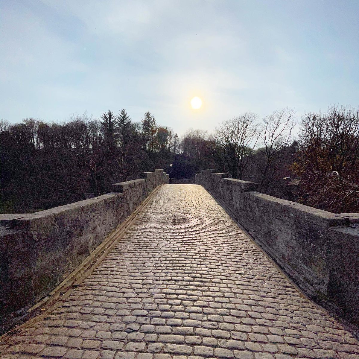 Spring is coming!🌿The lighter evenings are giving us the chance to venture on new walks across the city... Today’s evening walk was along Brig o’ Balgownie and Seaton park which follows the River Don across paths and boardwalks💚#FitTaeDee #Aberdeen #SeatonPark