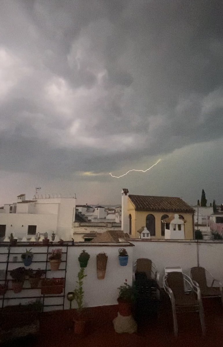 rafaelgalvez6's tweet photo. @Colectivo_Meteo https://t.co/Lho6rd7kXn