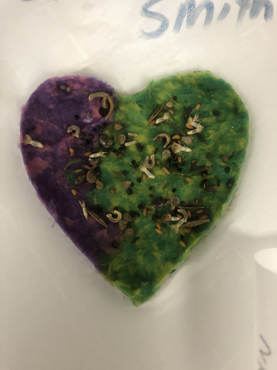 SHSMakers's tweet photo. Making Flower Paper in Independent Living. https://t.co/x4lybZKnJ1
