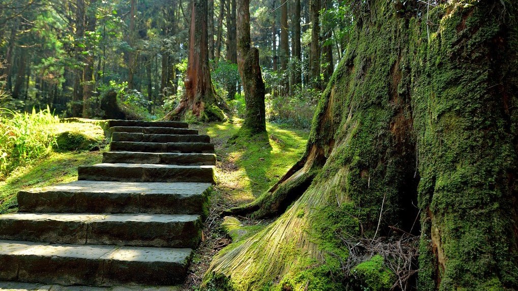 LabxSocial's tweet image. &quot;Life is like riding a bicycle. To keep your balance, you must keep moving.&quot; - Albert Einstein👣

#mondaythoughts #MondayMotivation #PhotoOfTheDay #quote #quoteoftheday