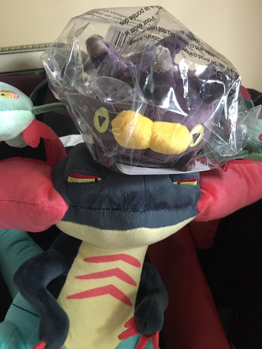 SupportPult's tweet image. Friend arrived today and is visiting us for a few weeks!