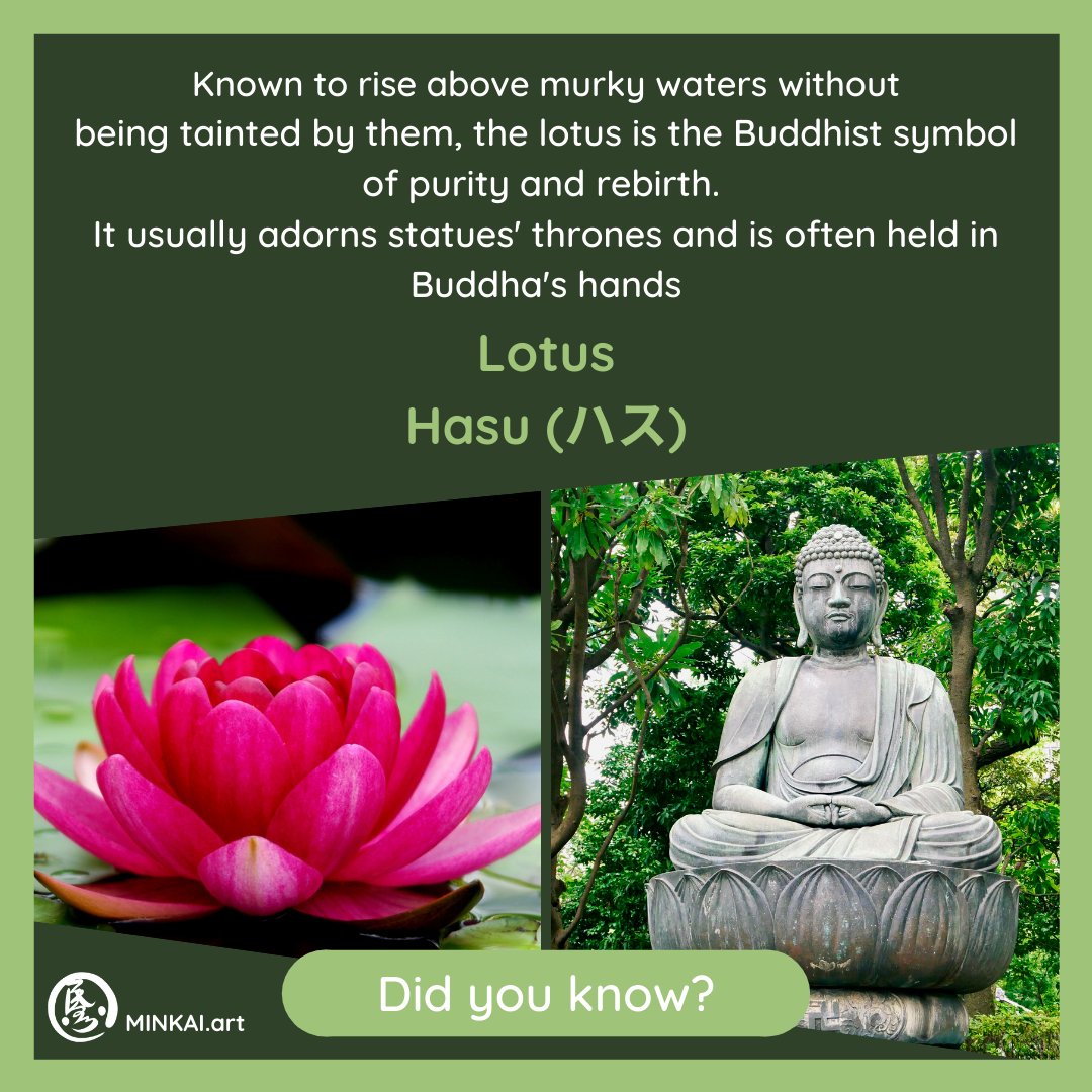🌸 #DidYouKnow - Lotus (#ハス) 🌸

Known to rise above murky waters without being tainted by them, the #lotus is the #Buddhist symbol of purity and #rebirth. It usually adorns statues' thrones and is often held in #Buddha's hands 

#mythologymonday #dyk #japanesefolklore