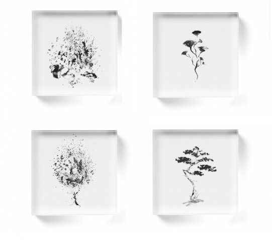 Twoucan モード系 の注目ツイート イラスト マンガ