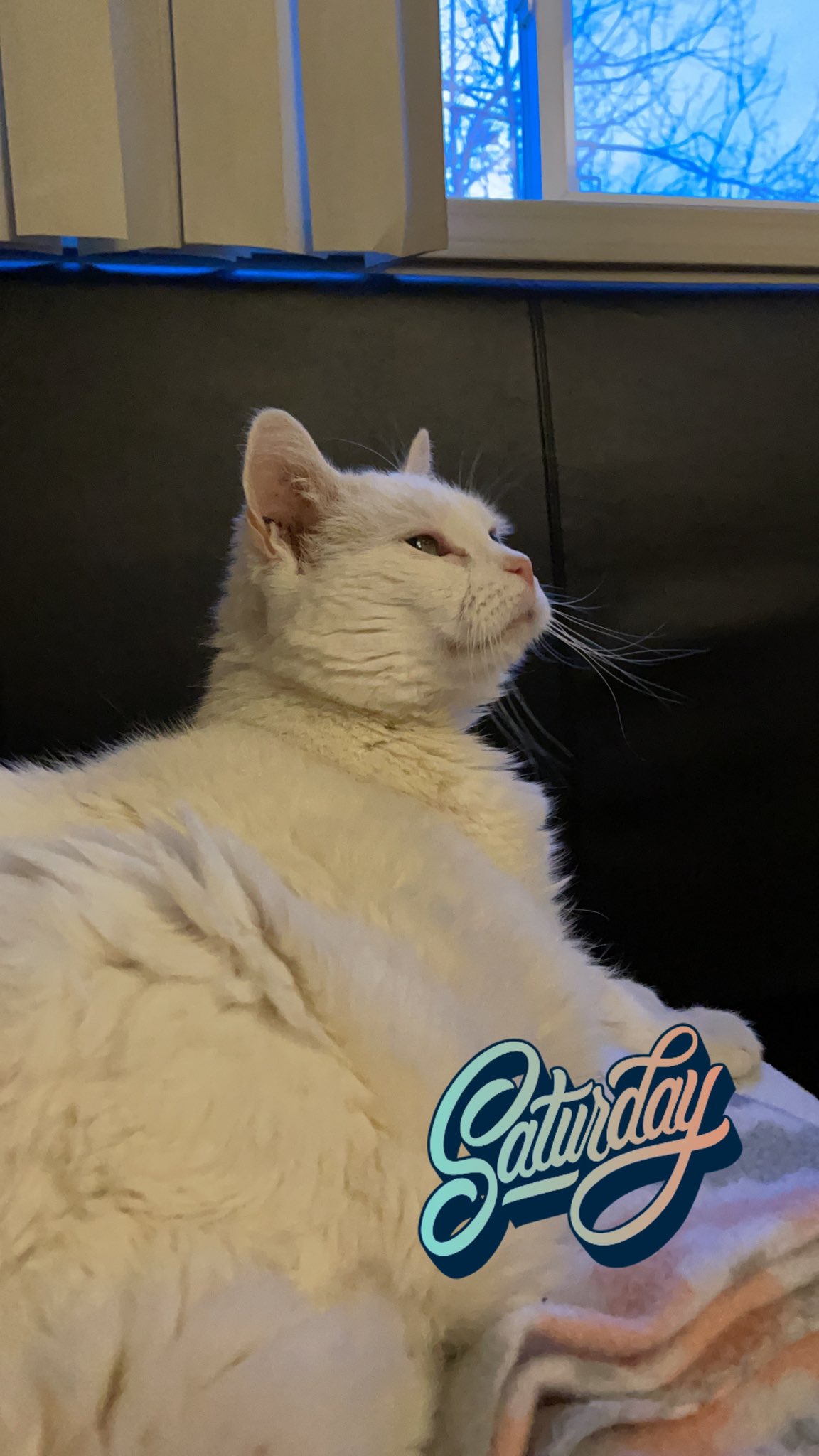  Happy birthday from Q Tip 