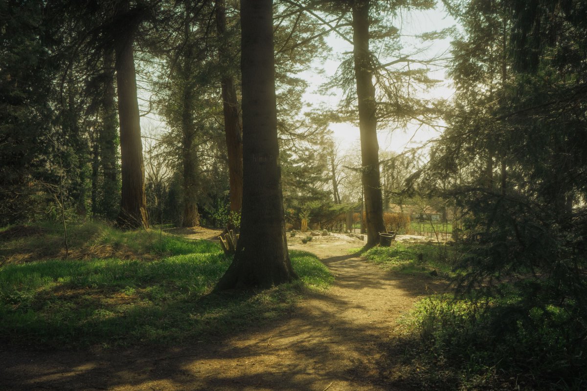 Melissa ¨̮ tweet media