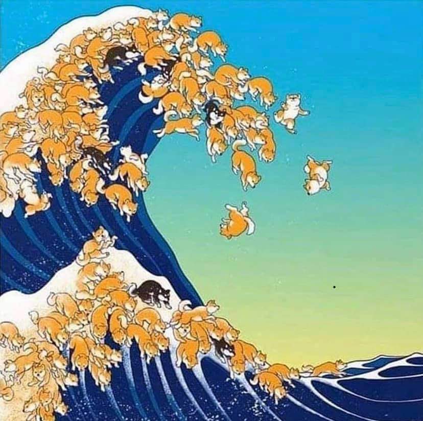 IamQanoun's tweet photo. Iโm not sure the world is ready for the #dogewave thatโs coming!! ๐๐๐
#DogeDay420 #dogecoin #dogearmy #DogecoinToTheMoon #DogecoinRise https://t.co/Ab6Dj9NcB5