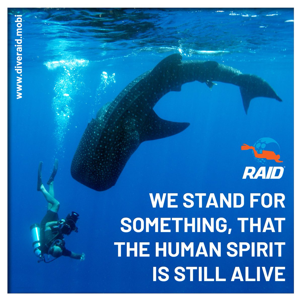 "What’s the matter with you guys? This was never about the money, this was about us against the system. That system that kills the human spirit. We stand for something. We are here to show those guys that the human spirit is still alive." 🤟🤿
#scuba #diveraid #unafraid