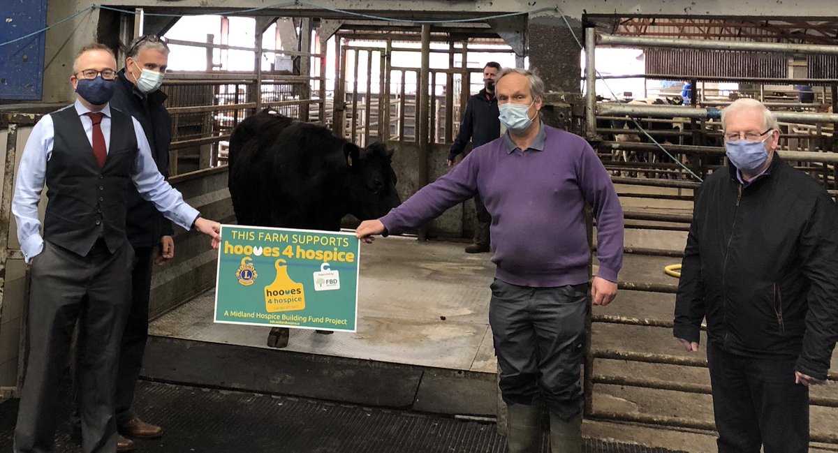 Aberdeen Angus bullock reared &amp; donated by Dan Cleary, Shinrone sold at Birr Mart this morning raising €1,180 for <a href="/hooves4hospice/">Hooves 4 Hospice</a> 

Ken Enright &amp; George Manzor of Birr Lions Club oversaw the delivery of the bullock from Dan into the hands of Michael Harty, Manager Birr Mart.