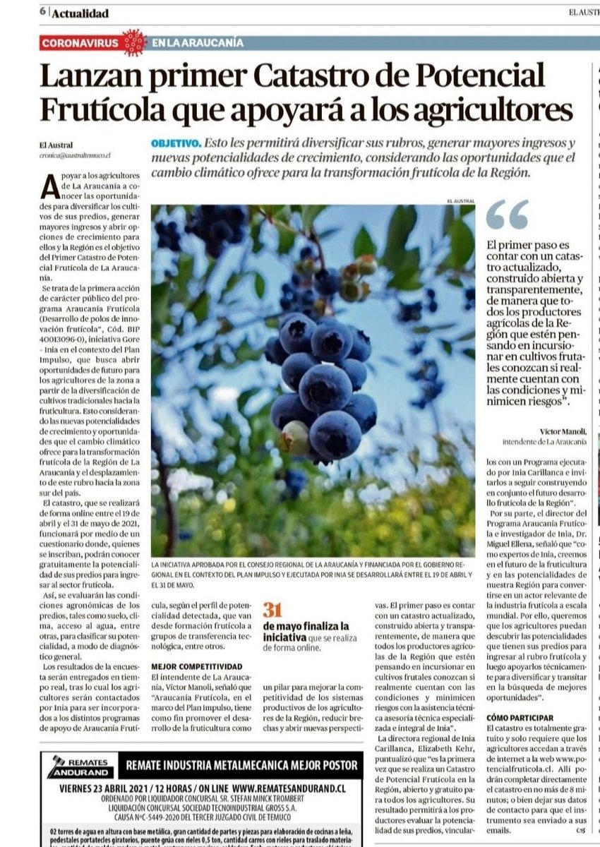 Plan Impulso Araucanía tweet media