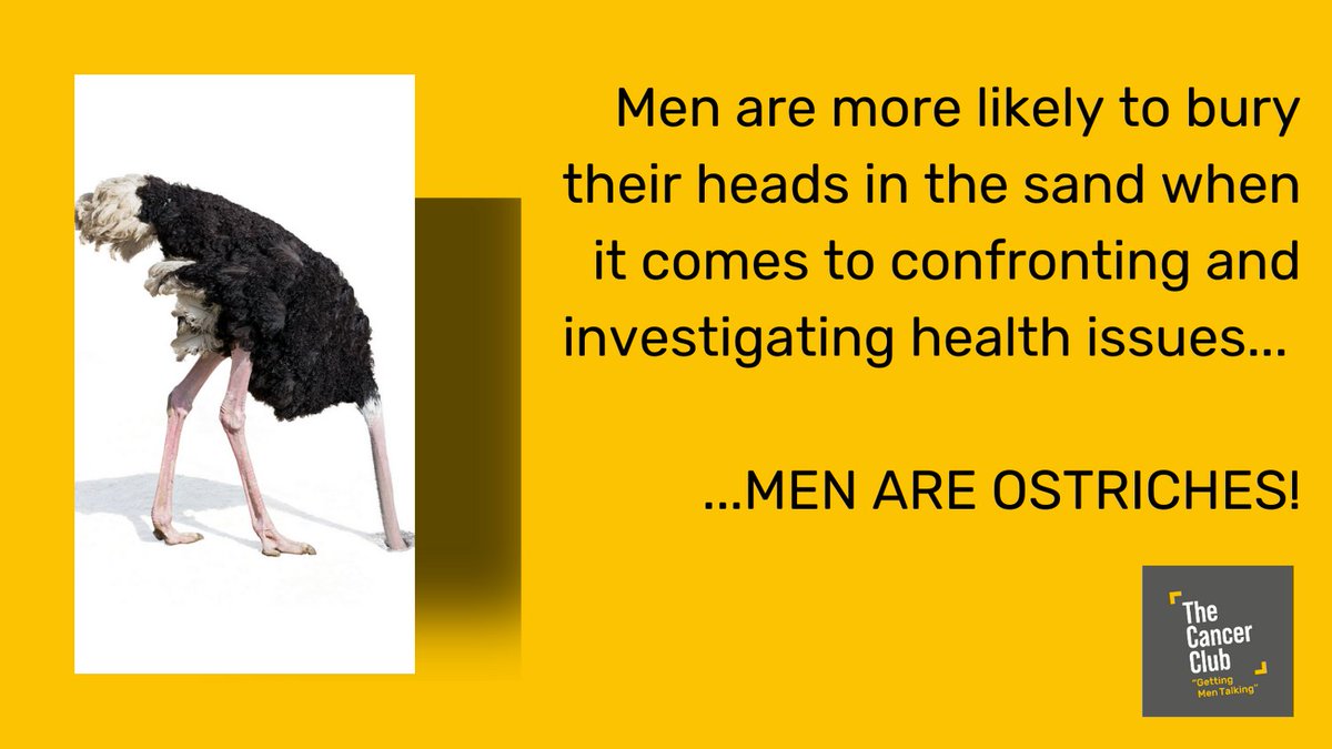 TheCancerClub2's tweet photo. Who agrees? Don't be ostriches men! #menwithcancer #gettingmentalking #supportnetwork https://t.co/pjLIM7ik18