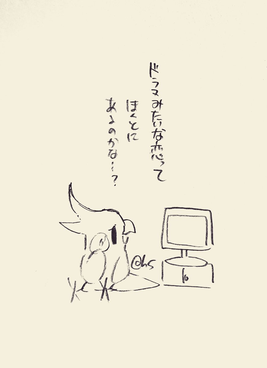 ドラマみたいな恋ってほんとにあるのかな...?
#1日1回恋することり 