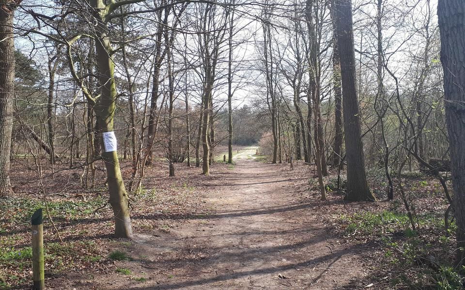In het Valtherbos bij Klijndijk zijn stukjes kaas en worst gevonden die volgens de politie mogelijk vergiftigd zijn...