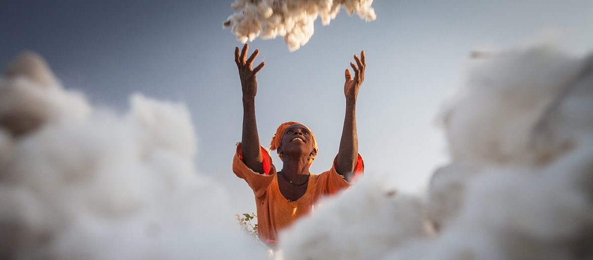 Fairtrade Foundation tweet media