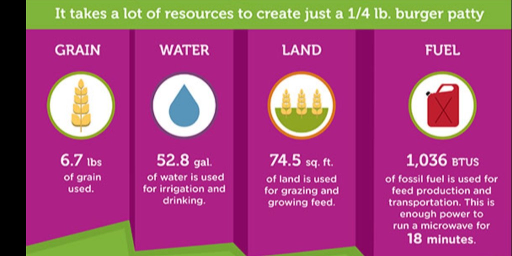 Dream in Green (@dream_in_green) on Twitter photo The #7DayChallenge kicks off with #MeatlessMonday! Learn how many resources are saved when you skip meat one day per week. <a href="/bitl_earth/">Before It's Too Late</a> The #7DayChallenge kicks off with #MeatlessMonday! Learn how many resources are saved when you skip meat one day per week. <a href="/bitl_earth/">Before It's Too Late</a>